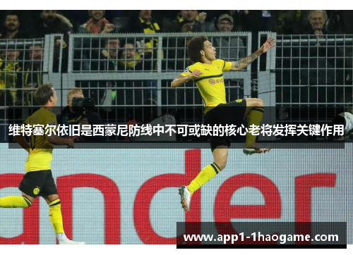 维特塞尔依旧是西蒙尼防线中不可或缺的核心老将发挥关键作用